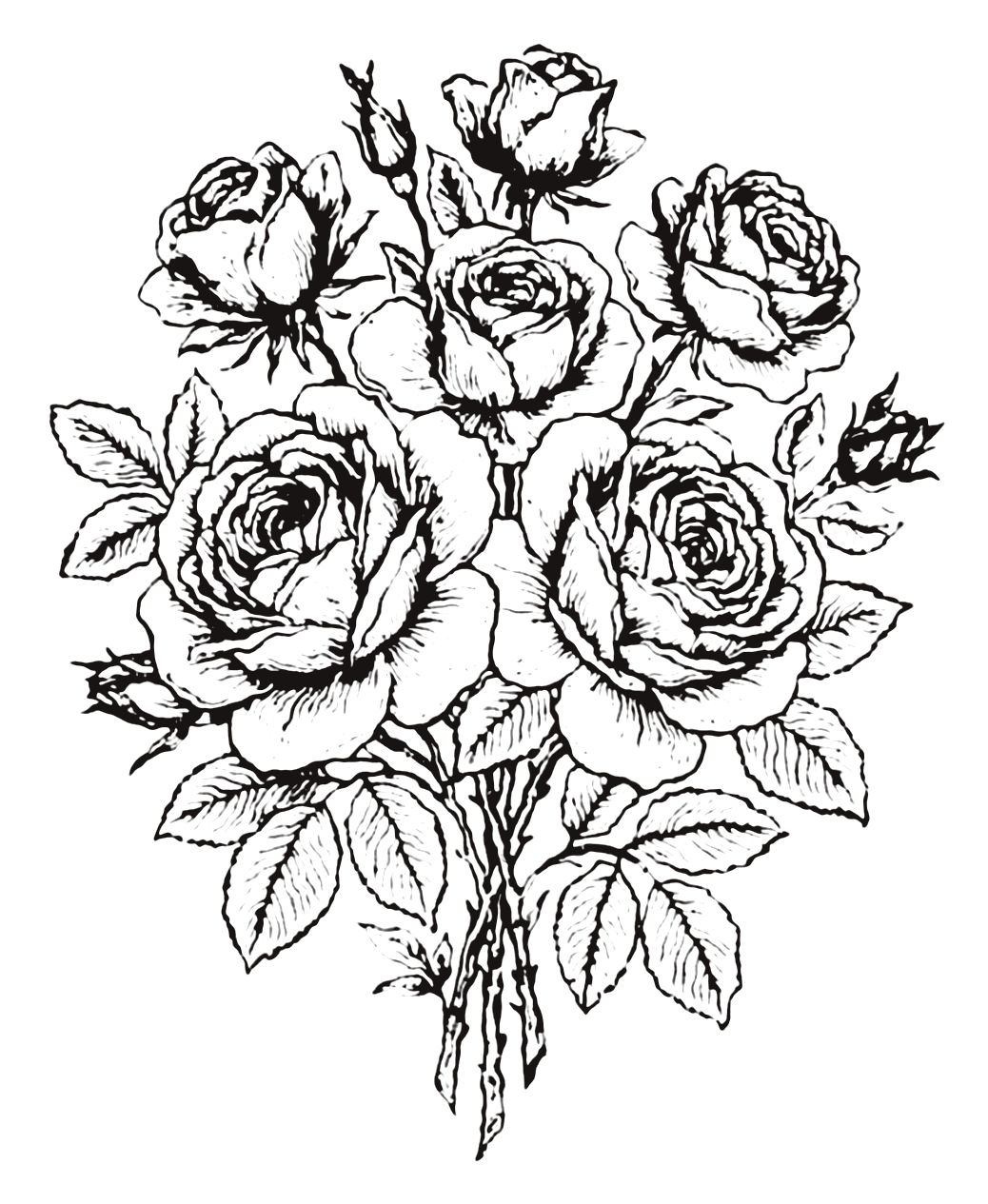 Ink drawing of a bouquet of roses